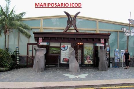 Apartamento Vistas De Icod Icod De Los Vinos Εξωτερικό φωτογραφία